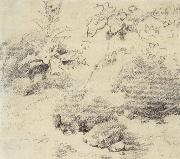 Thomas Gainsborough Study for a Foreground,a Bank with Weeds and Thistles painting